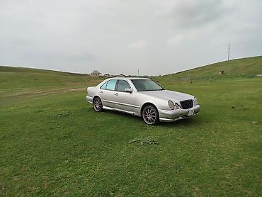 Mercedes-Benz: Mercedes-Benz E-Class: 2000 г., 4.3 л, Седан — 3
