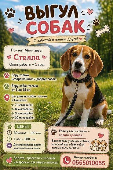 🕐 С 8:30 до 9:30 мини скидка(зависит от собаки)☺️ 🕗 С 8:00 до 17:00