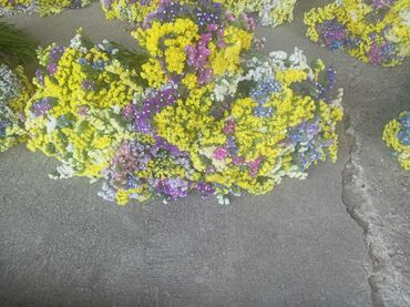 Figure: 🌸 Statica suvo cvece 
Buket za samo 🌸❌ — 2