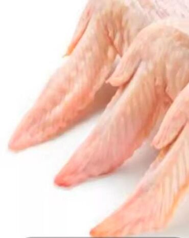 Mini: Mini : 1.4 l | 2006 il 285000 km Van/Minivan — 15