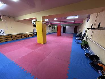 Продажа коттеджей и домов: 🏡 Продается дом под бизнес | Район Пишпек 💼 Идеально для коммерции — 19