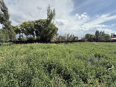 птицы ферма: Farm КРС, 12 соток, Не действующий, Частично с оборудованием, Без коммуникаций — 6