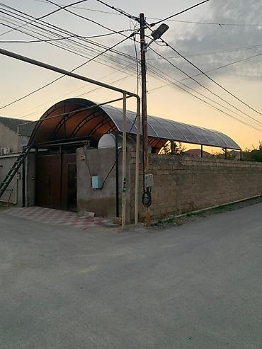 dam örtü: Metall konstruksiyadan hazırlanmış geniş üstüörtülü (naves) — 1