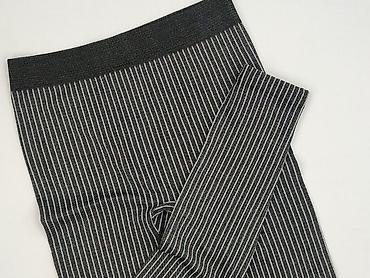 pitbul: Legginsy rozmiar L — 1