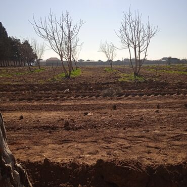 Suvarma sistemləri: Система полива с интернетом или автоматически для газона и деревьев — 6