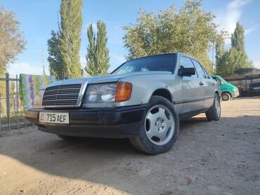 мерс 1988: Mercedes-Benz 260: 1988 г., 2.6 л, Механика, Бензин, Седан