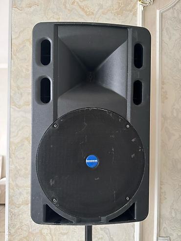 Динамики и колонки: Пассивная акустическая система Mackie Industrial ART 500 - Серия — 2