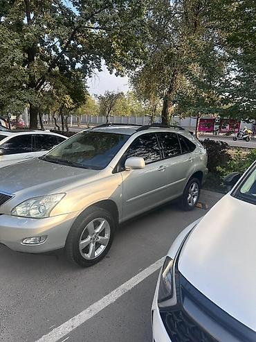 спойлер солярис 1: Lexus RX: 2003 г., 3 л, Автомат, Бензин, Кроссовер — 4