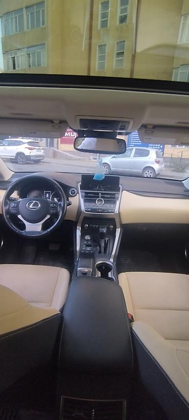 lync co: Lexus NX: 2018 г., 2.5 л, Гибрид — 10