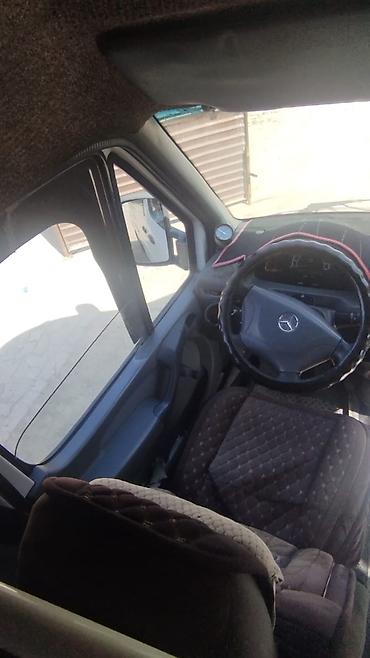Mercedes-Benz: Mercedes-Benz Спринтер: 2003 г., Бус — 13