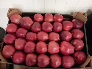 Яблоки: Яблоки — 9