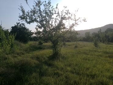 bakida menzillerin qiymeti: 30 sot, Tikinti, Kupça (Çıxarış)