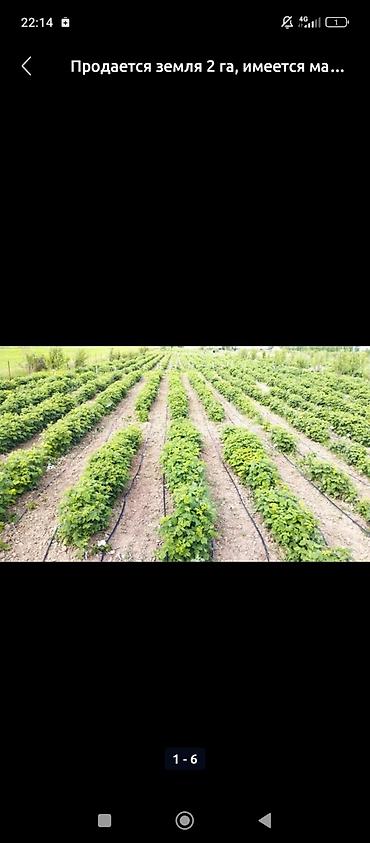 Продажа участков: 200 соток, Для бизнеса, Договор купли-продажи at lalafo.kg — 19 Продажа участков: 200 соток, Для бизнеса, Договор купли-продажи — 19