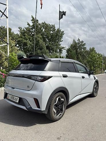 byd дельфин: BYD Dolphin: 2022 г., Электромобиль, Хэтчбэк — 4