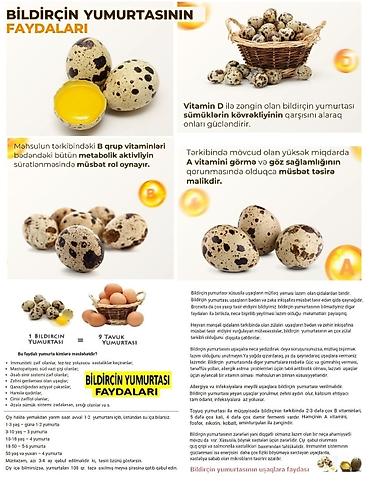 Quşlar: Bildriçin yumurtası. Sən hələ bildirçin yumurtalarına baxıb “Bu — 6