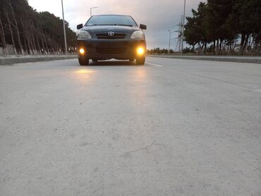 Toyota: Toyota Corolla Verso: 1.4 l | 2006 il Hetçbek — 2
