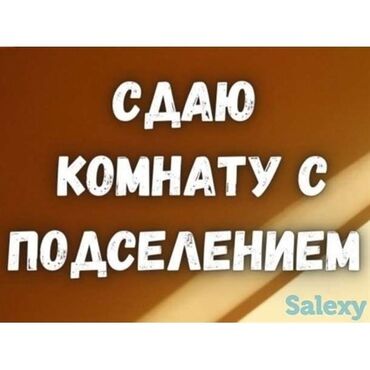 Долгосрочная аренда квартир: 1 комната, Собственник, С подселением, С мебелью полностью