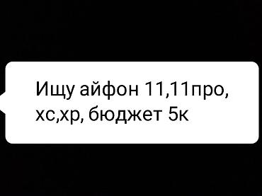 Ищу iPhone 11, 11 Pro, XS или XR. Бюджет — 5к at lalafo.kg Ищу iPhone 11, 11 Pro, XS или XR. Бюджет — 5к