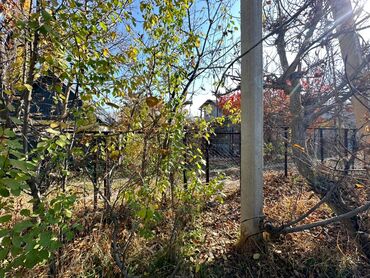 Продажа домов: Дача, 40 м², 2 комнаты, Агентство недвижимости — 6