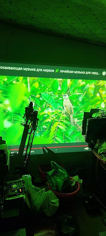 Проекторлор: Проекторы от 3000 сом.Так же к ним есть ножки к потолку 500 сом — 6