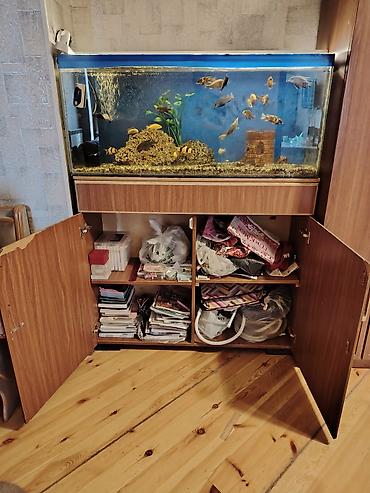 Akvariumlar: Akvaryum komplekti – stendlə birlikdə - Şüşə akvaryum: iri ölçülü — 2