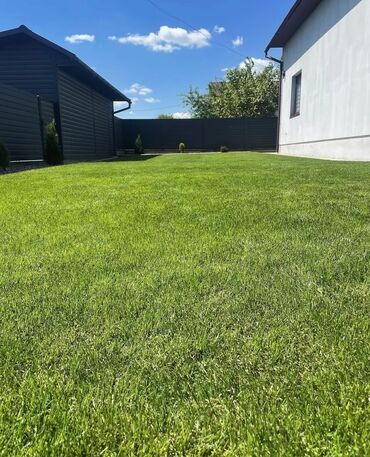 Другие услуги: 🌿Сеем Газон 🌿Посев газона🌿 Обработка участка от сорняка 🌿Вносим