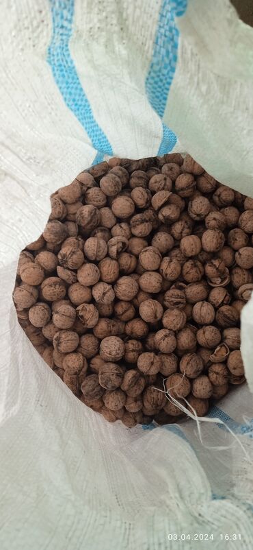 грецкий орех в кыргызстане: Продаю мешок грецких орехов в мешке около 15кг