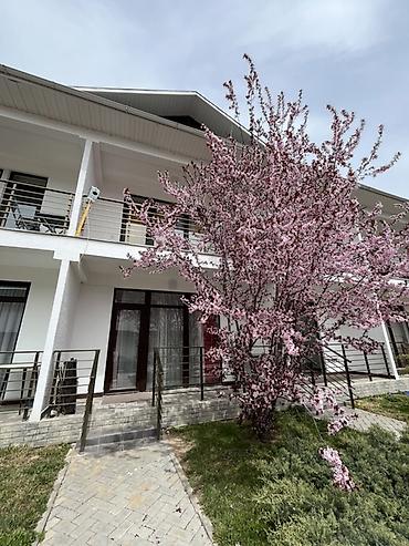 Аренда коттеджей и домов на Иссык-Куле: Таунхаус, Baytur Resort & Spa, Бостери, 7 мест — 1