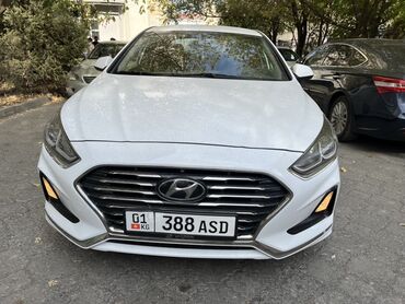 хонда фит аренда с последующим выкупом: Ижарага берем Hyundai Sonata такси үчүн, Узак мөөнөткө, | Күрөө, Айдоочулук күбөлүгүк, Мотор оңдоо арендага берүүчүдөн