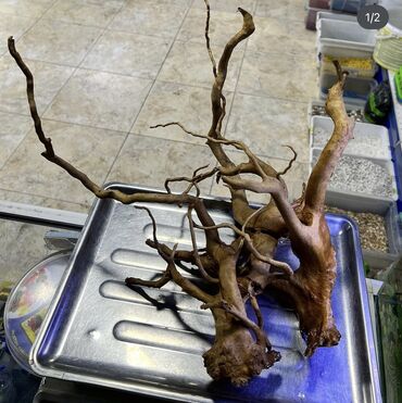 Аквариумы: Рыбки | Аквариумы | Оборудование | Аксессуары | Растения Богатый опыт — 17