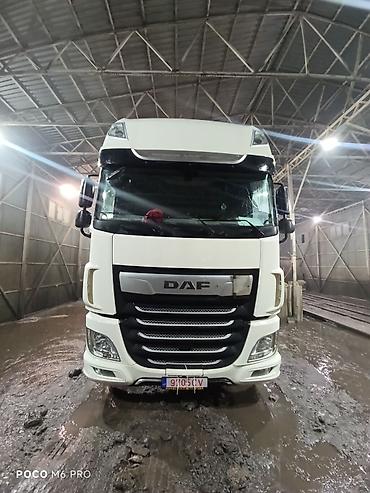 Тягачи: Тягач, DAF, 2019 г. — 9