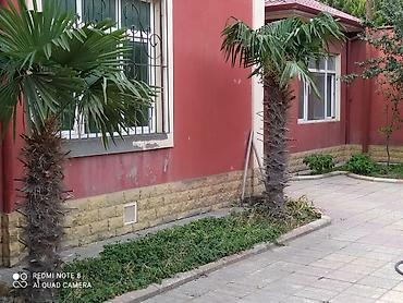 oz evimdir: Salam.evimiz 3 mərtəbəli villa dur.butun sənədləri qaydasındadır(paket — 7