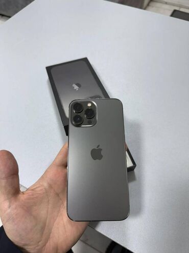 ayfon s 6: IPhone 13 Pro Max, 256 ГБ, Matte Silver, Face ID