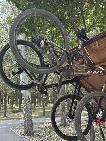 велосипед для инвалидов цена: Горный велосипед, Specialized, Рама M (156 - 178 см), Алюминий, Б/у