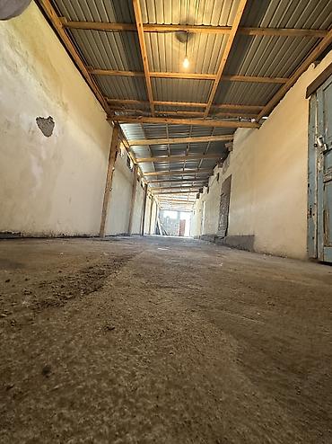 толстого: 4 соток Для бизнеса, Газ — 5