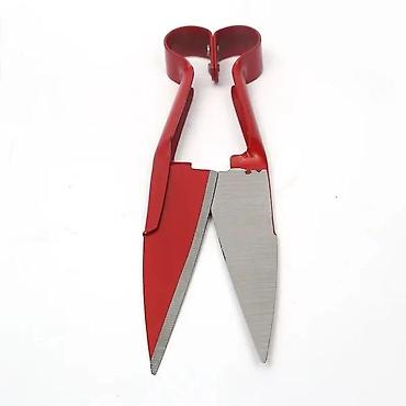 С/х животные и товары: Qoyun qırxan qayçı qırmızı Qoyun qırxan qayçı qırmızı, heyvanların — 1