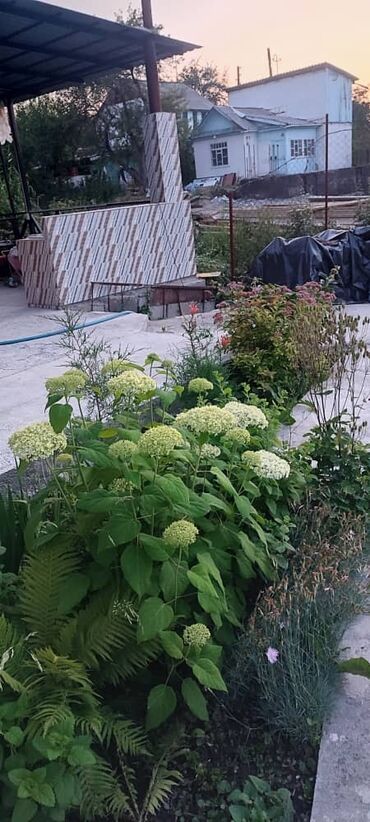 Продажа домов: Дача, 100 м², 4 комнаты, Собственник, Косметический ремонт at lalafo.kg — 15 Продажа домов: Дача, 100 м², 4 комнаты, Собственник, Косметический ремонт — 15