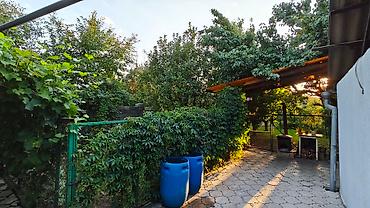 Продажа коттеджей и домов: Продаю дом, расположен в лебединовке улица северная дом 181, участок — 21