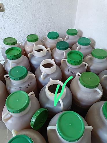 Мёд: Мёд шести видов в Кара Балта простой мёд разнотравье горный кг — 9