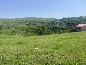 Torpaq sahələrinin satışı: 6 sot, Tikinti, Makler, Kupça (Çıxarış) — 6