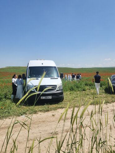 Другие услуги: СПРИНТЕР ДЕЛЬФИН НА ЗАКАЗ ГОРОД ОШ УЗГЕН ЗАКАЗ АЛАБЫЗ 16-18-МЕСТ at lalafo.kg — 4 Другие услуги: СПРИНТЕР ДЕЛЬФИН НА ЗАКАЗ ГОРОД ОШ УЗГЕН ЗАКАЗ АЛАБЫЗ 16-18-МЕСТ — 4