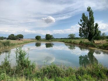 я ищу дом г кант: 13 соток, Для строительства, Красная книга
