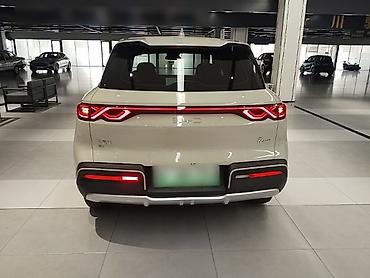 BYD: BYD Yuan Up: 2024 г., Электромобиль — 11
