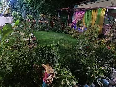 жёлтый домик: Продается уютный частный дом 🏡 с благоустроенным двором и зеленым — 2