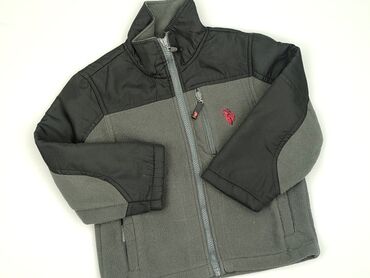 kamizelce bomber: Світшот, U.S. Polo Assn, 5-6 р., 110-116 см, стан - Дуже гарний