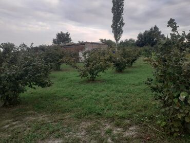 merdekan makaron fabriki torpaq sahesi: 10 sot, Kənd təsərrüfatı, Mülkiyyətçi, Kupça (Çıxarış)