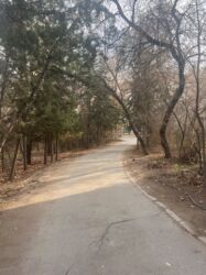 Продажа квартир: 3 комнаты, 62 м², Индивидуалка, 1 этаж, Старый ремонт — 3