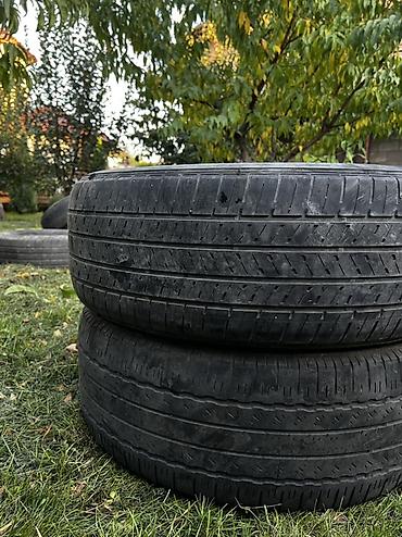шины 225 55 r19: Пара автомобильных шин Goodyear EfficientGrip Performance (по — 2