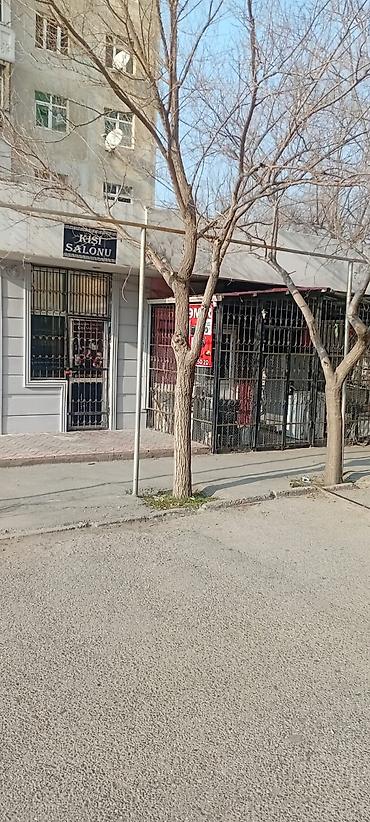 masaj salonu bakü: Qadın saç ustaları | Saç kəsimi — 3