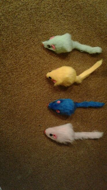 Su və yem qabları: Shekilleri cevirin Xamyaklar ucun her bir aksesuarlar satilir — 17